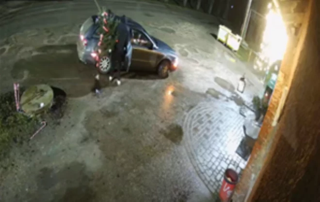 Pusčetros naktī pie veikala “Uguntiņa” Jaungulbenē uzdarbojās “Grinču trijotne”, kura tur nozaga Ziemassvētku eglīti.