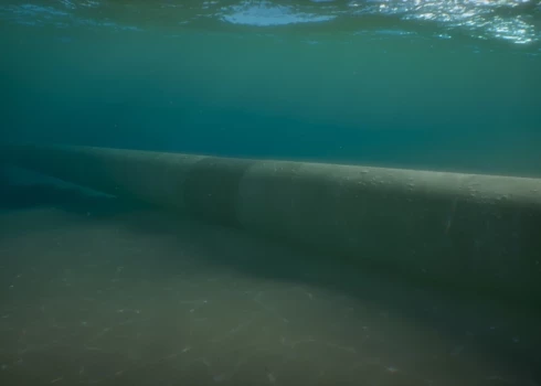 Иллюстративное фото.