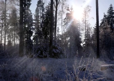 Мороз близко: во вторник ожидается холодная и солнечная погода