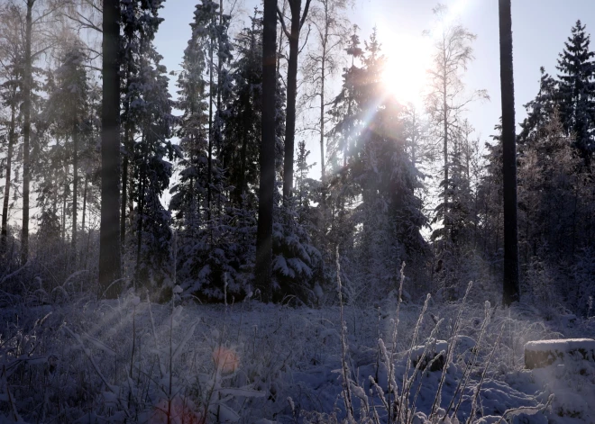 Мороз близко: во вторник ожидается холодная и солнечная погода