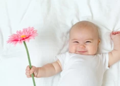 4 знака зодиака, которые притягивают деньги и процветание весь 2026 год