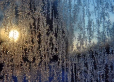 Во вторник будет солнечно, но температура может опуститься ниже -10 градусов