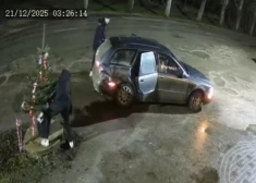 ВИДЕО: в Яунгулбене украли выставленную у магазина елку. "Наше рождественское настроение смыто в унитаз!"