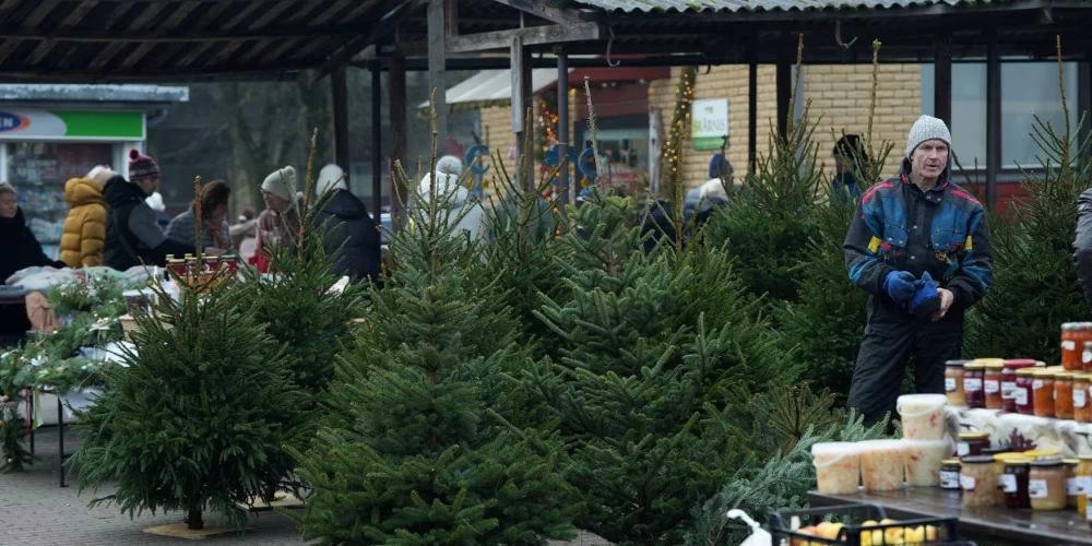 Иллюстративное фото.