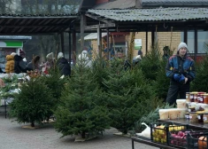 День Рождества в Латвии будет пасмурным, но местами выглянет солнце