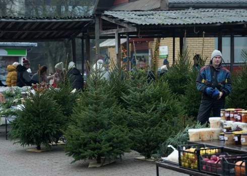 Иллюстративное фото.