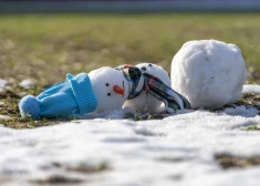 Будем выращивать виноград и дыни вместо яблок? Шокирующий прогноз латвийских ученых на ближайшие годы