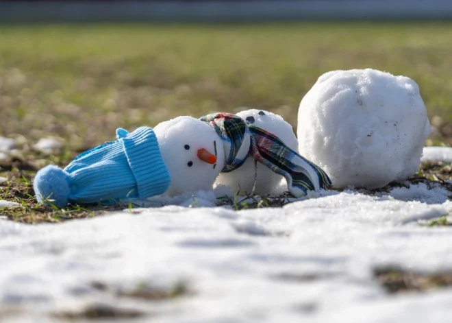 Будем выращивать виноград и дыни вместо яблок? Шокирующий прогноз латвийских ученых на ближайшие годы