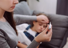 Грипп свирепствует - школы и детсады пустуют