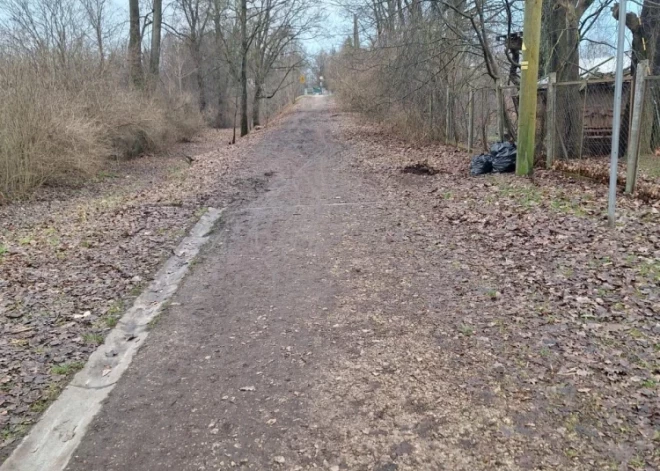 Рождественские огни для туристов, грязь - для своих: что скрывает центр Огре