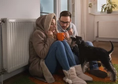 "Газпром" переживает: как там в Балтии без нашего газа? Не замерзнет?