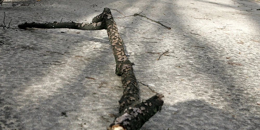 Pašvaldība brīdina, ka vētras laikā var lūzt gan koki, gan to zari.