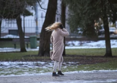 Stiprā vēja dēļ Latvijā reģistrēti ap 100 neplānoti elektrotīkla atslēgumi