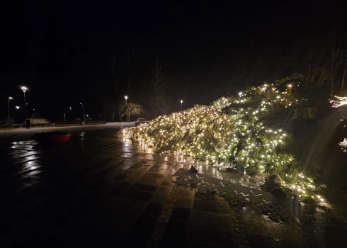 Vējš nogāzis arī Ikšķiles centrālā laukuma egli.