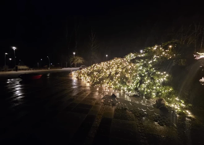 Спасатели работают без остановки: штормовой ветер ломает деревья и конструкции