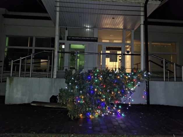 Arī Salaspilī novērotas apgāztas egles.