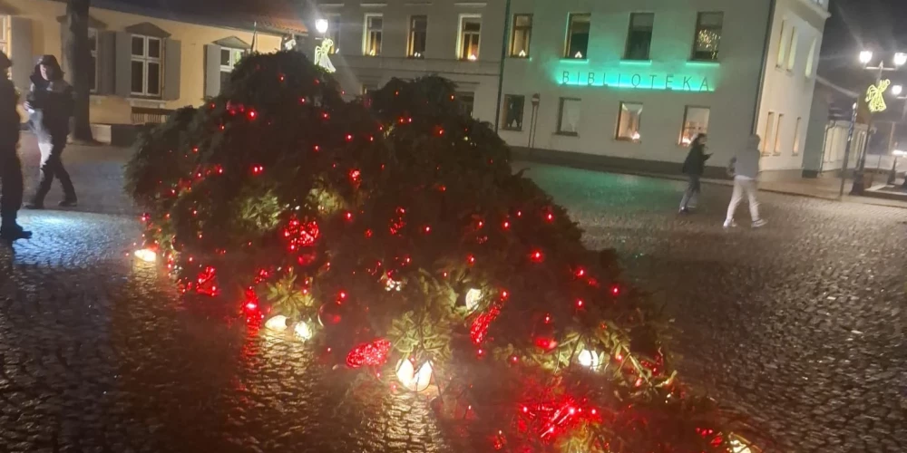 Упавшая елка в Вентспилсе.