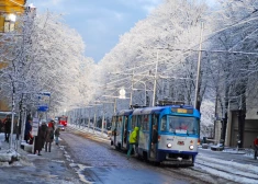 31 декабря и 1 января общественный транспорт будет бесплатным.
