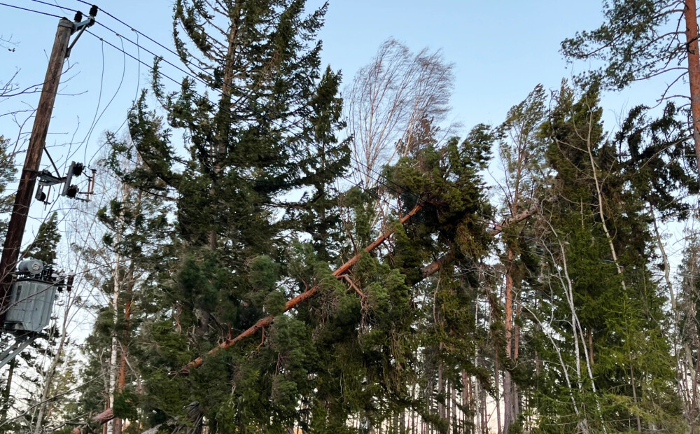 Traģēdija kaimiņos: Zviedrijā vētrā gājuši bojā trīs cilvēki, bet tūkstošiem iedzīvotāju palikuši bez elektrības