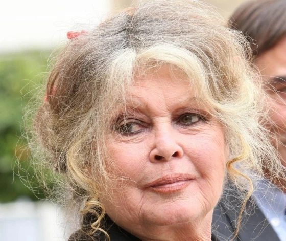 Брижит Бардо в последние годы редко появлялась на публике.