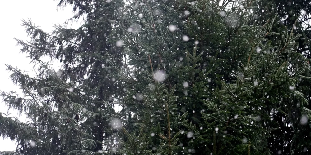 Ap gadumiju Latvijā sāks veidoties noturīga sniega sega. 