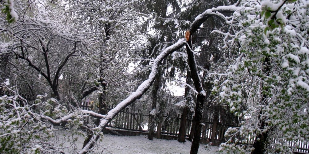Izsaukumu skaits uz vētras postījumiem mazinājies, elektroapgādes traucējumus vēl turpina novērst.