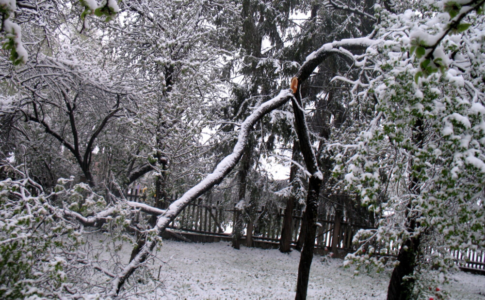 Izsaukumu skaits uz vētras postījumiem mazinājies, elektroapgādes traucējumus vēl turpina novērst