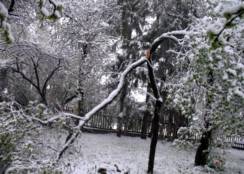 Izsaukumu skaits uz vētras postījumiem mazinājies, elektroapgādes traucējumus vēl turpina novērst. 