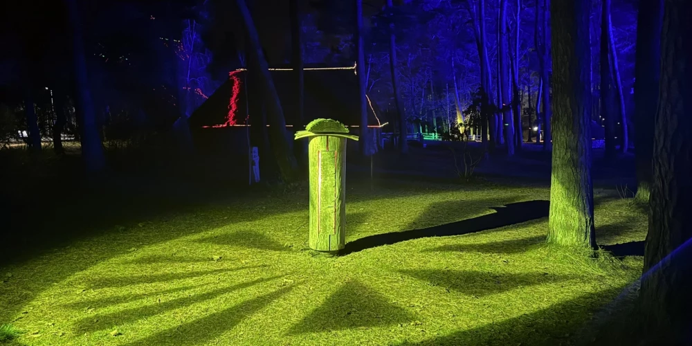 Triloģijas “Gaismas gadskārtas” 2. daļas - gaismas takas “Saule. Ziemas Saulgrieži” ekspozīcijā Latvijas Etnogrāfiskajā brīvdanas muzejā līdz 4. janvārim apskatāms eksponāts - kas atceļojis no Līgatnes Vienkoču parka - vienkoča bišu strops.