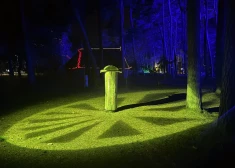 Gaismas takā “Saule. Ziemas Saulgrieži” apskatāms vienkoču strops no Līgatnes Vienkoču parka