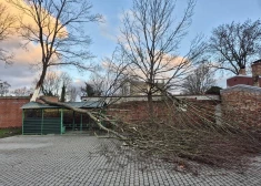 Vētrā norauts jumts, nogāzies žogs, sagrauta siltumnīca, saplacināts auto. Kā apdrošināties pret dabas stihijām un saņemt atlīdzību?