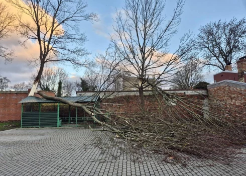 Decembra pēdējās brīvdienās Latvijā trakojošā vētra nodarījusi pamatīgu postu īpašumiem (attēlā – uz Liepājas Sociālā dienesta sētas uzgāzies koks). 