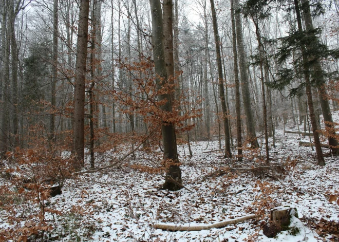 FOTO: Čornobiļas biosfēras rezervātā fiksē ziņkārīgo manevrus