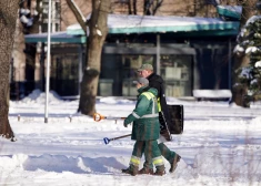 Algu kāpums turpinās palēnināties, prognozē banku ekonomisti