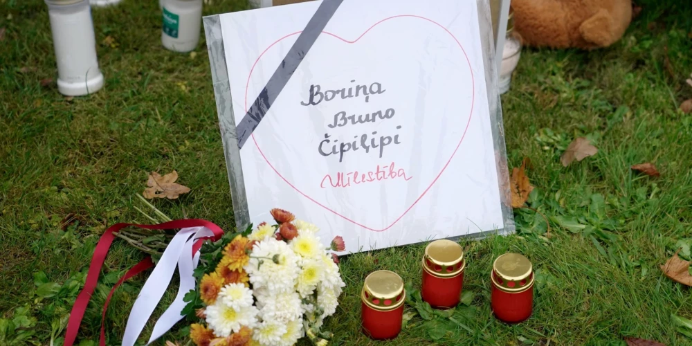 Par trīs suņu nošaušanu Bauskas novadā Valsts policija rosina apsūdzēt četras personas.