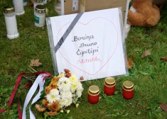 "Modra olas" suņu traģēdija: Valsts policija rosina apsūdzēt četras personas