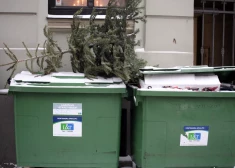 Paziņots, līdz kuram datumam Alūksnes iedzīvotāji varēs nodot pārstrādei savas Ziemassvētku eglītes