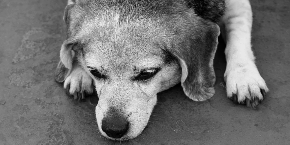 Иллюстративное фото.