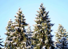 Gada pēdējā rītā dažviet Kurzemē gaisa temperatūra noslīdēs zem -10 grādiem