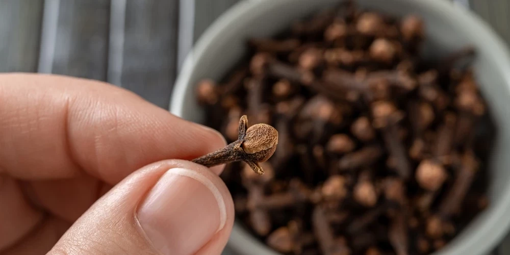 Svarīgi! Ja tev ir kuņģa čūla vai paaugstināts asinsspiediens, krustnagliņas lieto uzmanīgi vai labāk pirms tam pakonsultējies ar savu ārstu.