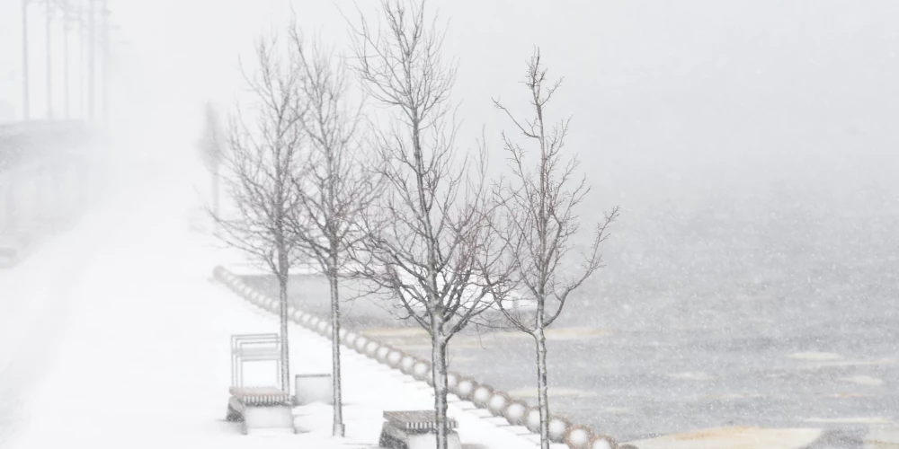 Иллюстративное фото.