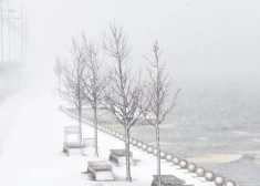 Зима берет свое: в первый день года Латвию накроет мощный снегопад