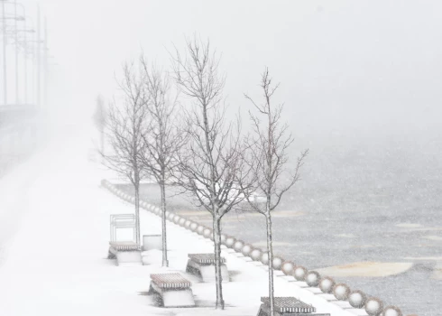 Иллюстративное фото.