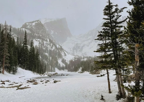 Pumu uzbrukumi Kolorādo tiek uzskatīti par ļoti retiem.