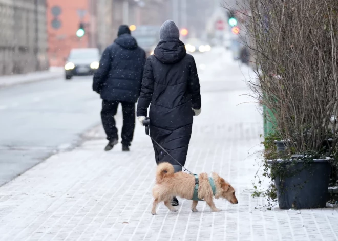 Морозы вернутся в воскресенье: синоптики предупреждают о снегопадах