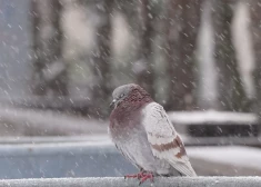 Иллюстративное фото.