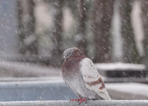 Иллюстративное фото.