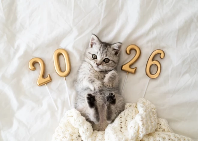 Atvērsies jaunas durvis, ko iepriekš pat negaidīji - horoskops visām zodiaka zīmēm no 5.01. līdz 11.01.