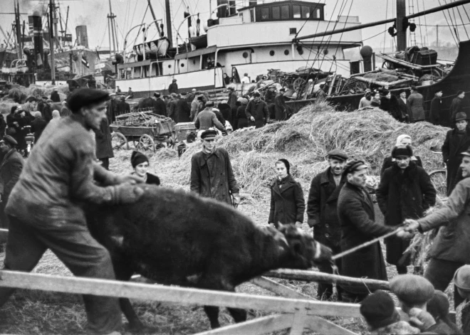 Padomju laika Jaunais gads Liepājā, Ventspils senie drukas darbi un Lēnais laiks Stāmerienā. Kur aiziet un ko redzēt: izstāžu ceļvedis