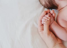 Pērn no Dzemdību nama izrakstīti 3722 jaundzimušie